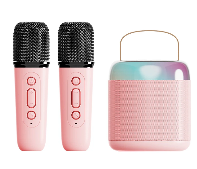 High Quality Stereo Sound Karaoke BT5.3 Speaker Machine for Kids For Outdoors Party Family Singing C
