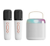 Mini Blue Tuth Karaoke Speaker Hot Sale OEM Customized Wireless Portable Outdoor with Microphone Car